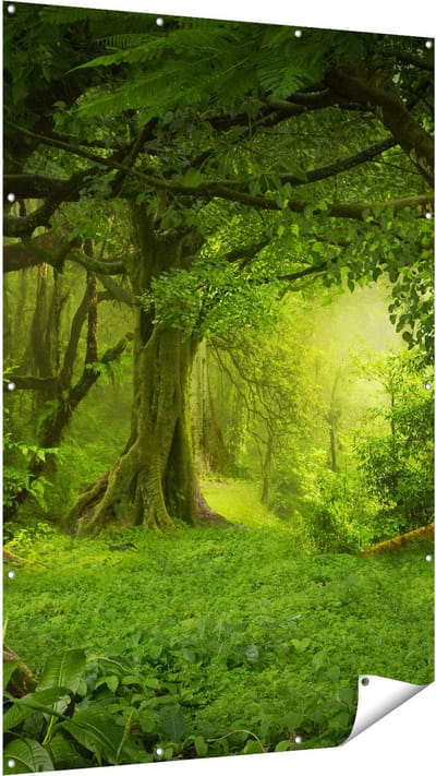 Gards Tuinposter Groene Tropische Jungle Bos - 120x180 cm - Tuindoek - Tuindecoratie - Wanddecoratie buiten - Tuinschilderij