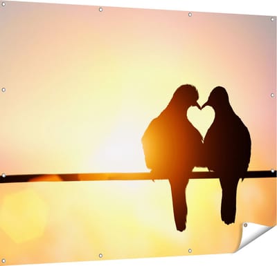 Gards Tuinposter Twee Silhouet Vogels in een Hart Vorm - 150x120 cm - Tuindoek - Tuindecoratie - Wanddecoratie buiten - Tuinschilderij