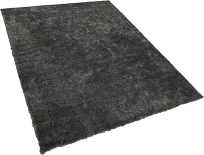 EVREN - Shaggy vloerkleed - Donkergrijs - 200 x 300 cm - Polyester