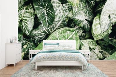 Behang - Fotobehang Bladeren - Planten - Natuur - Breedte 400 cm x hoogte 240 cm