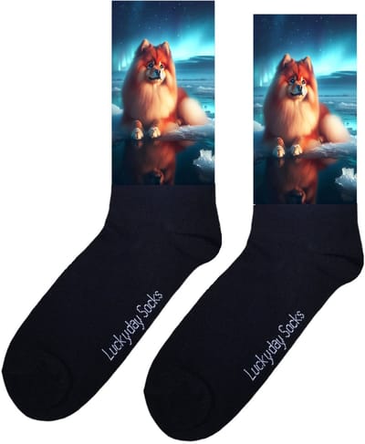 Pomeriaan - Valentijn sokken - Verjaardag Cadeau - Grappige sokken - Leuke sokken - Hem Haar sokken - Kunst sokken - Vrolijke sokken - Hond - Ras - Sinterklaas cadeau - Kerst cadeau - Leuk Cadeau - Socks maken Happy - Maat 37-44