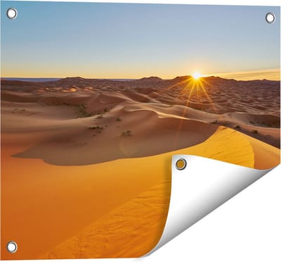 Gards Tuinposter Woestijn in de Sahara met een Opkomende Zon - 50x40 cm - Tuindoek - Tuindecoratie - Wanddecoratie buiten - Tuinschilderij