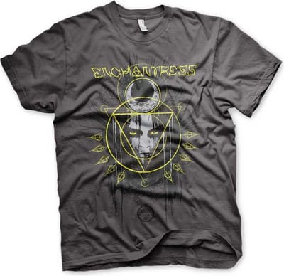 DC Comics Suicide Squad Heren Tshirt -L- Enchantress Grijs