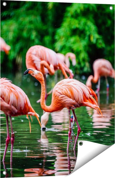 Gards Tuinposter Kudde Flamingo's in de Jungle in het Water - 60x80 cm - Tuindoek - Tuindecoratie - Wanddecoratie buiten - Tuinschilderij
