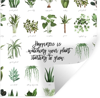 Muurstickers - Sticker Folie - Quotes - Happiness is... watching your plant starting to grow - Spreuken - 100x100 cm - Plakfolie - Muurstickers Kinderkamer - Zelfklevend Behang XXL - Zelfklevend behangpapier - Stickerfolie