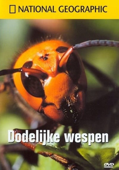 National Geographic - Dodelijke Wespen