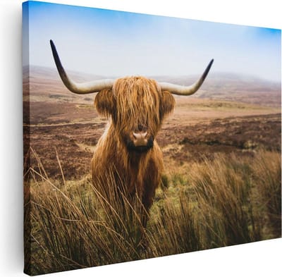 Artaza Canvas Schilderij Hooglander - 40x30 cm - Klein - Muurdecoratie Woonkamer - Wanddecoratie Schotse Hooglander - Kamer Accessoires