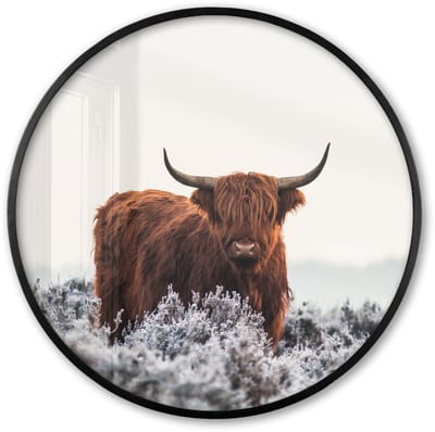 Poster in lijst Rond - Fotolijst 60x60 cm - Posters - Schotse hooglander - Dier - Natuur - Wit - Ronde posterlijst zwart - Decoratie - Wanddecoratie woonkamer - Muurdecoratie slaapkamer