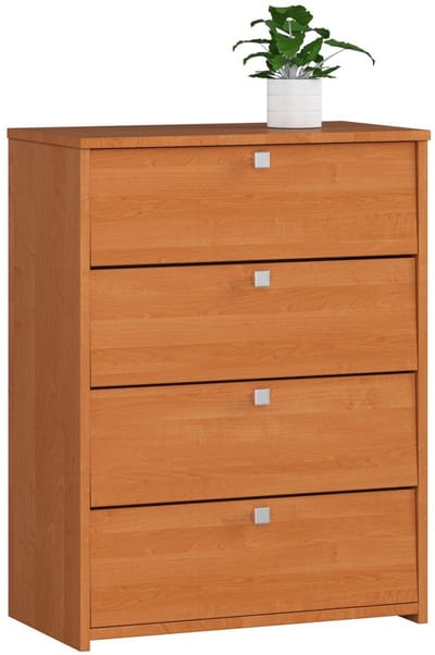 Olijfbast Schoenkast RUBIN - Klassieke Vierdeurs Opbergoplossing voor 12 Paar Schoenen - 66cm breed, Mat Afwerking - Zelfmontage Meubel