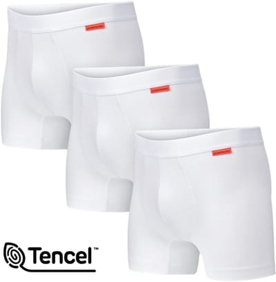 Undiemeister Boxershorts Heren - 3-Pack - Naadloos Ondergoed - Onderbroeken - Tencel - Chalk White (Wit) - Maat XS