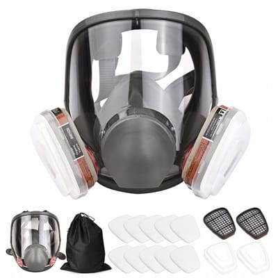 Volgelaatsgasmasker voor het Spuiten van Lak - Type 6800