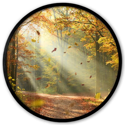 Poster in lijst Rond - Fotolijst 40x40 cm - Posters - Bos - Bomen - Herfst - Zon - Herfstbladeren - Natuur - Ronde posterlijst zwart - Decoratie - Wanddecoratie woonkamer - Muurdecoratie slaapkamer