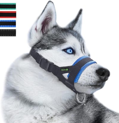 Honden Muilkorf - Hondenmasker Anti-Blak - Veiligheid Hond - Verstelbaar Nylon - Maat L - Blauw