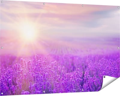 Gards Tuinposter Bloemenveld met Paarse Lavendel - 150x100 cm - Tuindoek - Tuindecoratie - Wanddecoratie buiten - Tuinschilderij