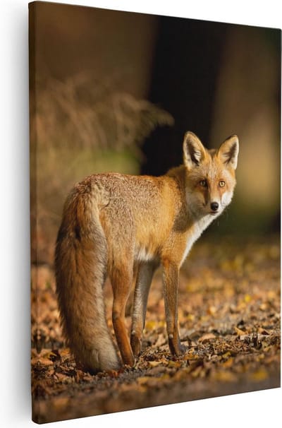 Artaza Canvas Schilderij Vos - 40x50 cm - Wanddecoratie Herfst - Muurdecoratie Dieren - Schilderijen Op Canvas Bos