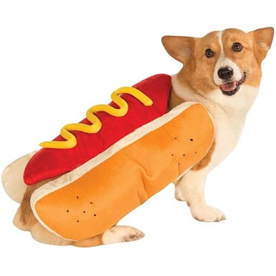 Huisdier Grappig Kostuum Kleding Hotdog Verkleedkleding Schattige Kat Puppy Outfit Voor Kleine Middelgrote Honden Teckel Halloween Feest Cosplay Cadeau S red