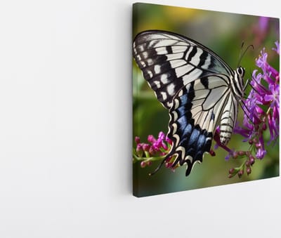 Saammp Canvas Schilderij - Kleurrijke Vlinder - Natuur - Dieren - 20x20 - Foto op canvas - Wanddecoratie - muurdecoratie Woonkamer - Slaapkamer decoratie - Canvas Print