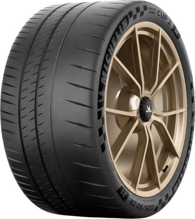 Michelin Pilot Sport Cup 2 R ( 315/30 ZR21 (105Y) XL EV Suitable, N1, met wangbescherming (FSL) )