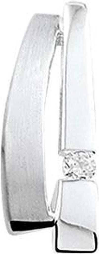 zilver gerhodineerd hanger zirkonia poli/mat 1323057