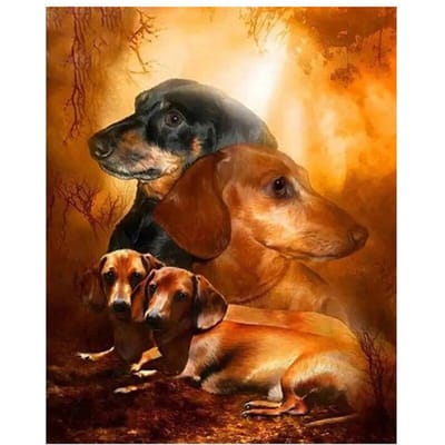 Peinture diamant à faire soi-même, photos d'animaux, point de croix, broderie complète, décoration d'intérieur 20X30CM orange