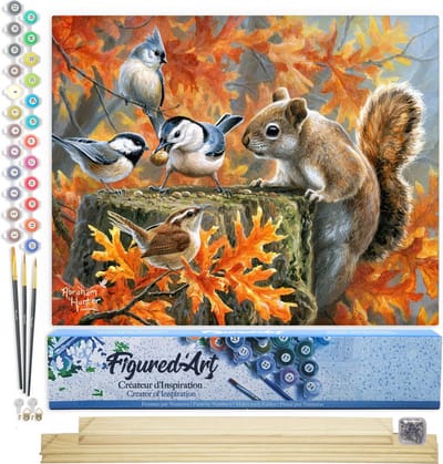 Figured'Art Schilderen op Nummer Volwassenen canvas Eekhoorn - Handwerk acrylverf Kit DIY Compleet - 40x50cm met DIY houten lijst