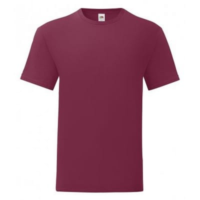 Fruit of the Loom Iconisch T-shirt voor heren (set van 5) (Bourgondië)