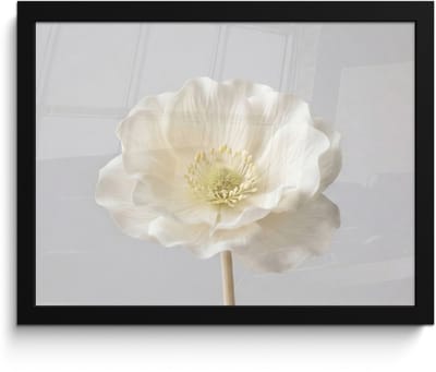 Poster in lijst - Fotolijst 40x30 cm - Posters - Bloem - Minimalistisch -Wit - Posterlijst zwart - Decoratie - Wanddecoratie woonkamer - Muurdecoratie slaapkamer