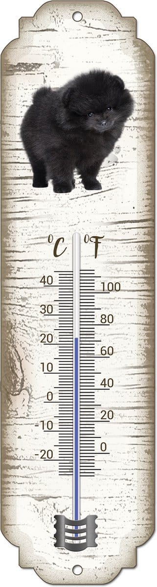 Thermometer: Zwarte Pomeriaan | Hondenras | Temperatuur binnen en buiten | -25 tot +45C