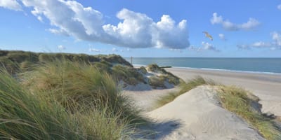 Fotobehang Burgh Haamstede duinen en strand 450 x 260 cm - € 295,--