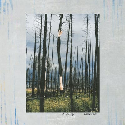 S. Carey - Watercress (LP)