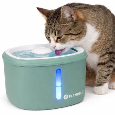 Drinkfontein kat – hond – 2,5L – Groen – Met koolstoffilter & kunstharsfilter – Stille pomp – Lichtindicator – USB-kabel 150 cm – Flamingo Finto