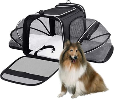 Draagbare Huisdierentransporttas - Reistas Kat Hond - Comfortabel Reizen - Uitbreidbaar Ontwerp - 46x28x28 cm - Zwart