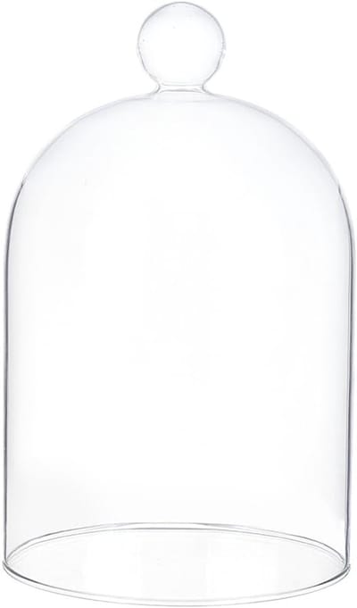 Glazen Display Cloche 12x16cm, Transparante Stofdichte Dome voor Planten, Feestverlichting en Tafeldecoratie voor Bruiloften