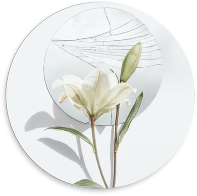 Forex Wandcirkel - Schildering van Bloem op Witte Achtergrond met Rondje - 30x30cm Foto op Wandcirkel (met ophangsysteem)