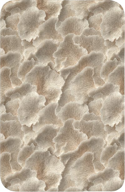 WC mat 40x60 cm - Antislip - Waaierstructuren - Beige - Vezeltextuur - Toiletmat - Vloermat - Douchemat - Toilet tapijt - Toiletmatten