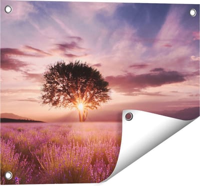 Gards Tuinposter Bloemenveld met Lavendel bij Zonsondergang - 50x40 cm - Tuindoek - Tuindecoratie - Wanddecoratie buiten - Tuinschilderij