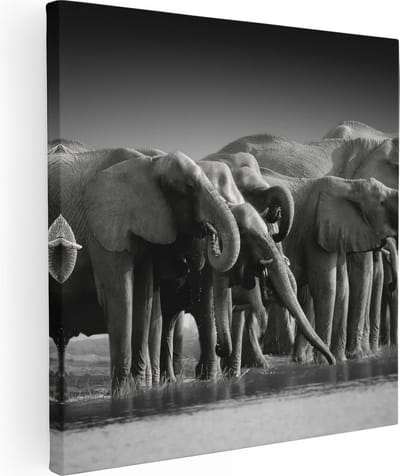 Artaza Canvas Schilderij Olifanten - 80x80 cm - Wanddecoratie Dieren - Muurdecoratie Afrika - Schilderijen Op Canvas Zwart Wit