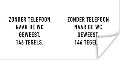 Poster Spreuken - Quotes - Zonder telefoon naar de wc geweest. 146 tegels. - Badkamer - 120x60 cm