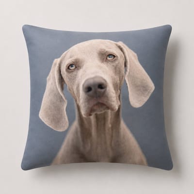 Unique Living - 3 stuks - kussenhoes - sierkussenhoes - grijs - beige - 45 x 45 cm - rits - fluweel - hond - Weimaraner