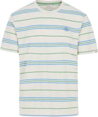 Protest Prthuxly – T shirt Heren – Korte mouwen – Ronde hals – Gestreept