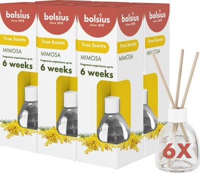 Bolsius True Scents - Geurstokjes - Mimosa - 6 stuks - Voordeelverpakking - 60ml