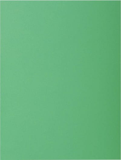 Exacompta ROCK''S 80 - Pak van 100 inlegmappen 22x31cm voor A4 - Dennengroen - 800004E