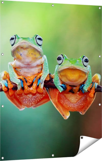 Gards Tuinposter Twee Boomkikkers op een Tak - 90x120 cm - Tuindoek - Tuindecoratie - Wanddecoratie buiten - Tuinschilderij