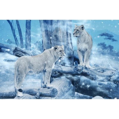 DIY diamant borduurwerk luipaarden volledige ronde diamant schilderij kruissteek 20X30CM white