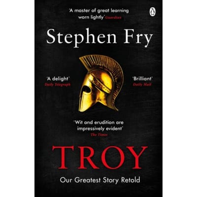 Troy door Stephen Fry Paperback Boek 9781405944465