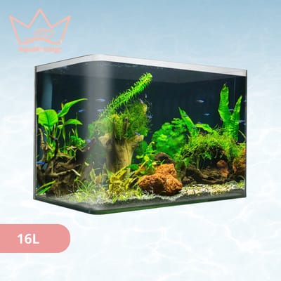 AquaKonings – Aquarium – Aquarium met afgeronde hoeken - Open Aquarium - Aquariumkit 35x20x23 16L