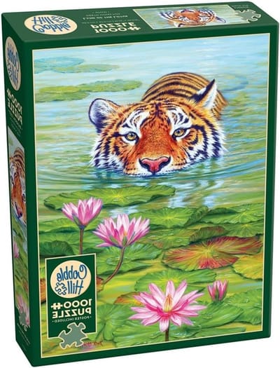 Legpuzzel 1000 stukjes - Puzzel spel - Ontspanning thuis - Willekeurig gesneden stukken - 26.6 x 19.25 inch - Meerdere kleuren