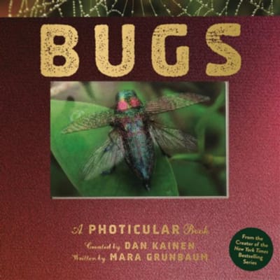 Bugs - Photicular - Dan Kainen