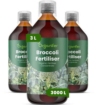 Vloeibare Meststof Voor Broccoli 3X1 L Voor 3000 L - Npk 2-1-8 - Krachtige Groei - Sterk Wortelstelsel - Stressbestendigheid - Nutriëntenopname - Plantvitaliteit - Stevige Stengels - Diepgroene Bladkleur - Voedingswaarde - Organifer