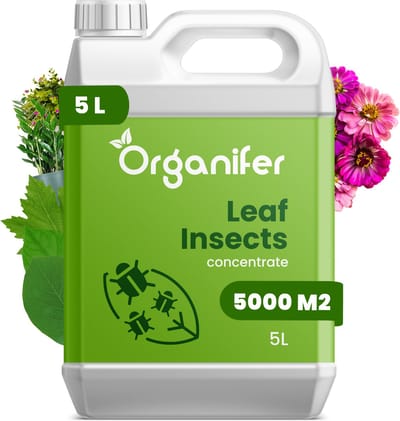Leaf Insects Bladinsecten Concentraat (5L, 5000m2) - Bladluis – Buxusrups – Geschikt voor wolluizen, spint, anri-rupsen, bladluizen, taxuskever, witte vlieg, trips en andere bladinsecten – Organifer